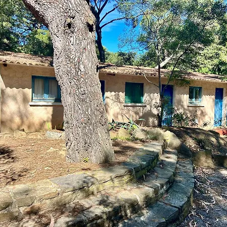 营地 Playa Pachamama 耶尔